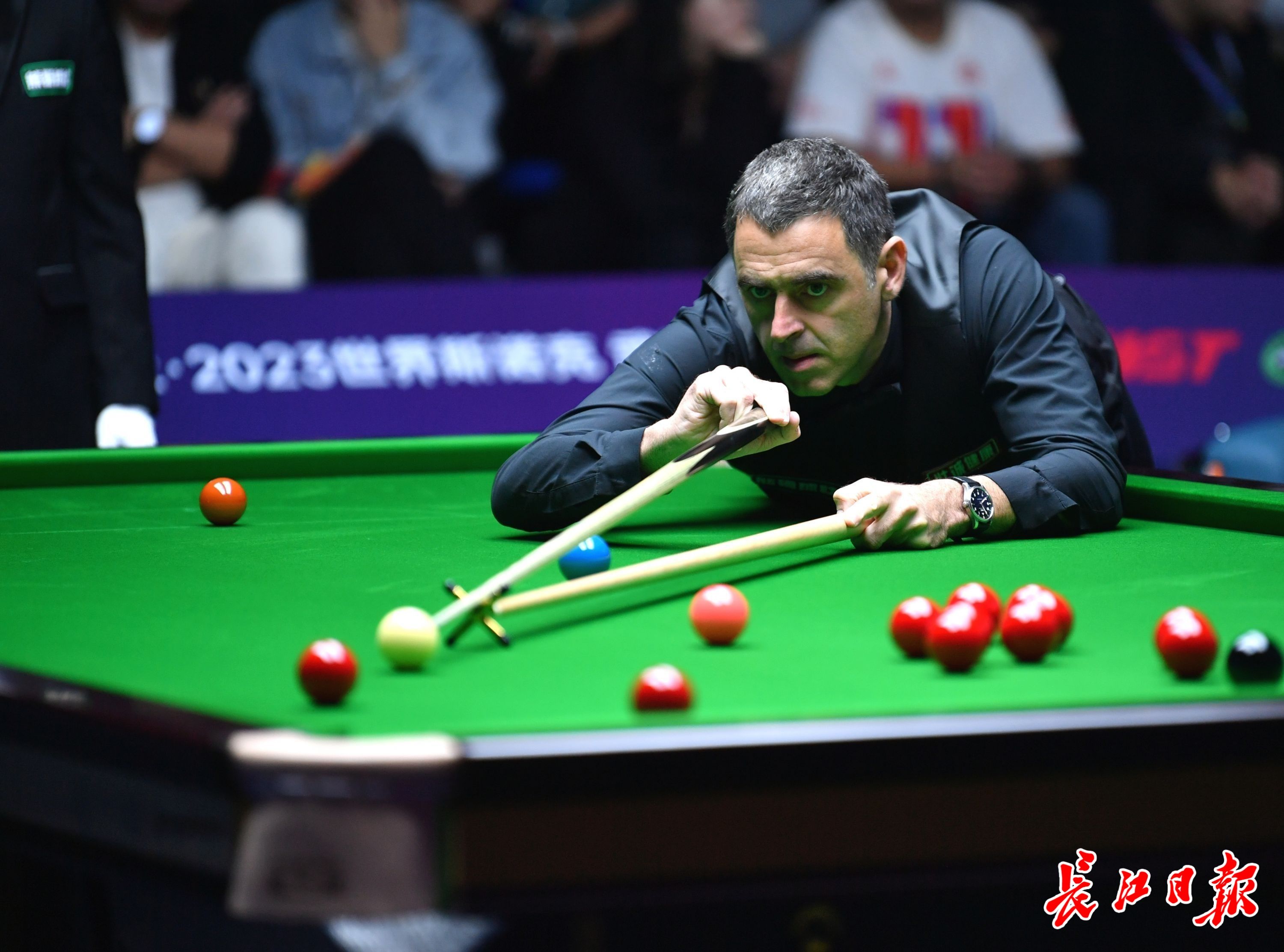 赵继伟能否 赵继伟能否