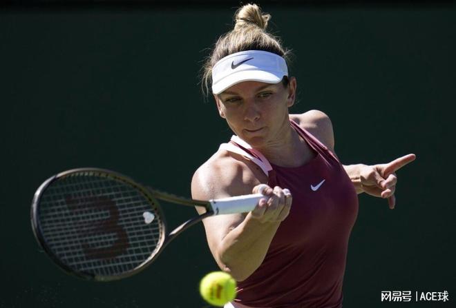 道视野与野 道视野与野