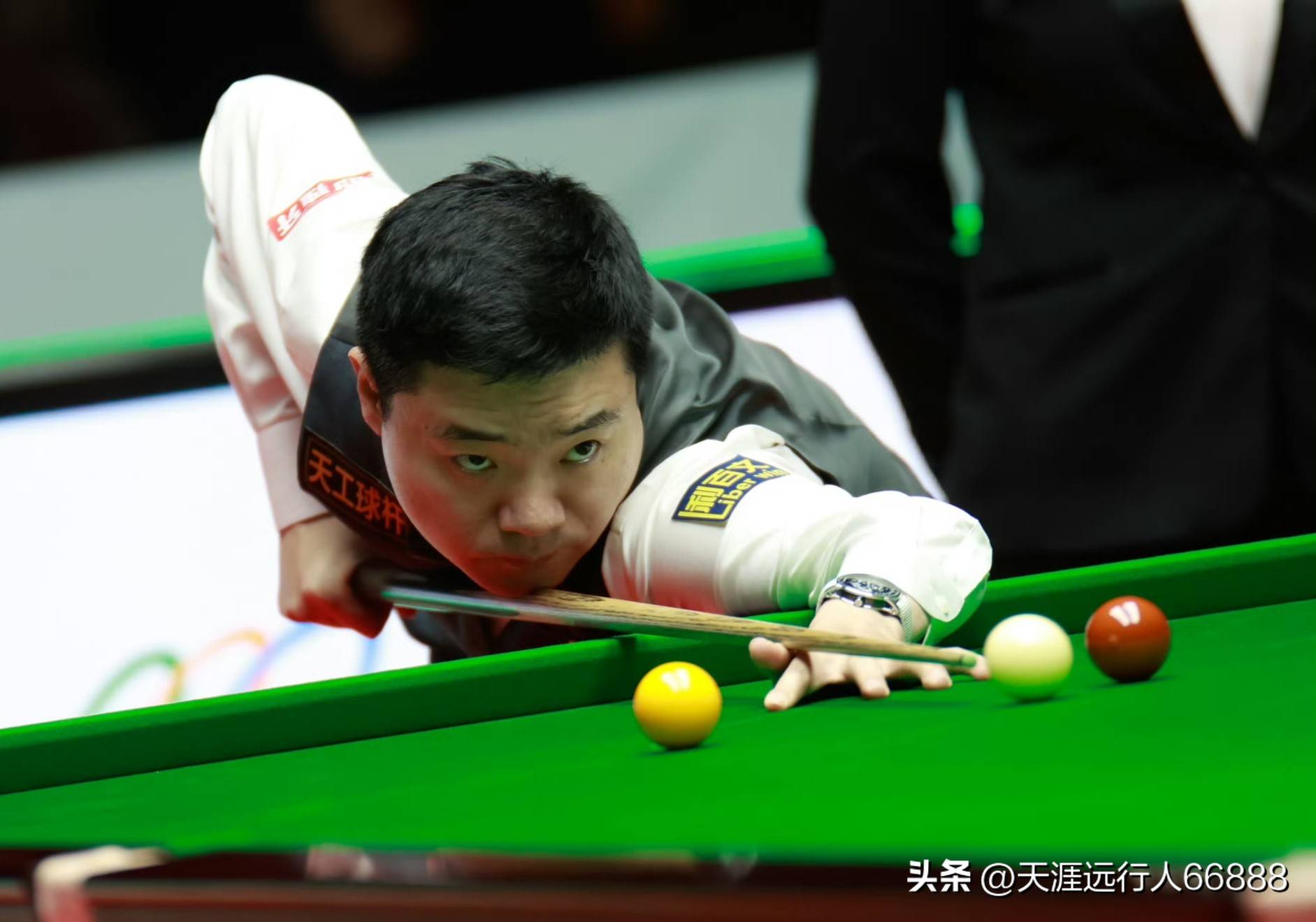 它们既是 它们既是